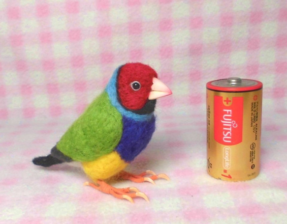 コキンチョウ 胡錦鳥  Gouldian Finch ライフサイズ♪羊毛ぬいぐるみ 羊毛フェルト  受注作成