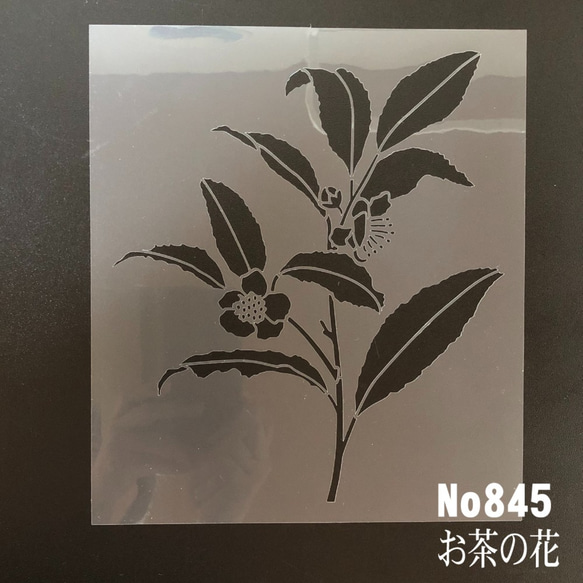 ☆お茶の花　ステンシルシート　型紙　図案　NO845