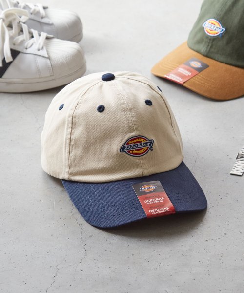 Dickies EX ICON TWO TONE LOWCAP