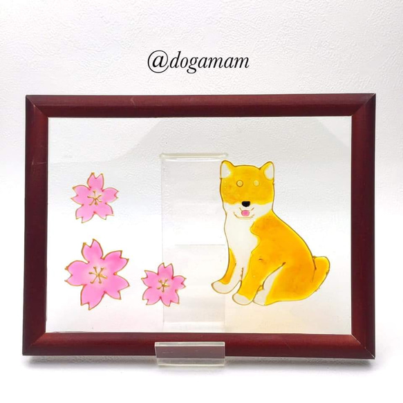 DOG.AM ガラスフレーム 柴犬 赤柴 さくら 桜 サクラ - （ciraspizza.com）