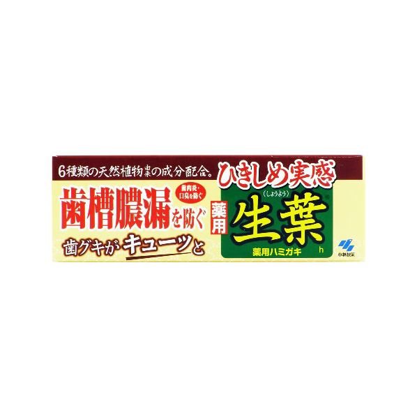 小林製薬 ひきしめ生葉 100g F824180