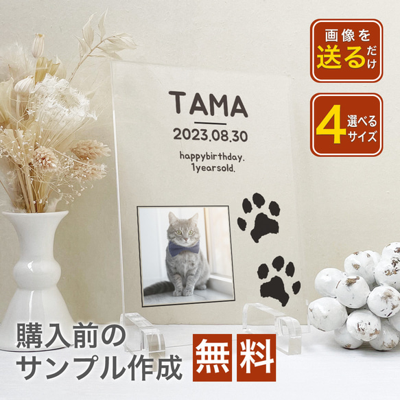 A50 ペットデザイン　ペット用 足形 スタンプ キット 犬 猫 足型 肉球スタンプ 足形作成キット にくきゅう　足あと