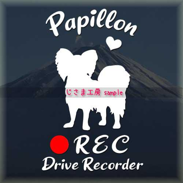 わんちゃんの可愛いドラレコステッカー!!『DRIVE　RECORDER』