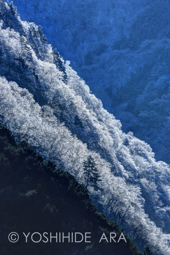 【額装写真】霧氷に煌く山肌