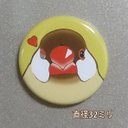 【文鳥マグネット】シナモン文鳥③