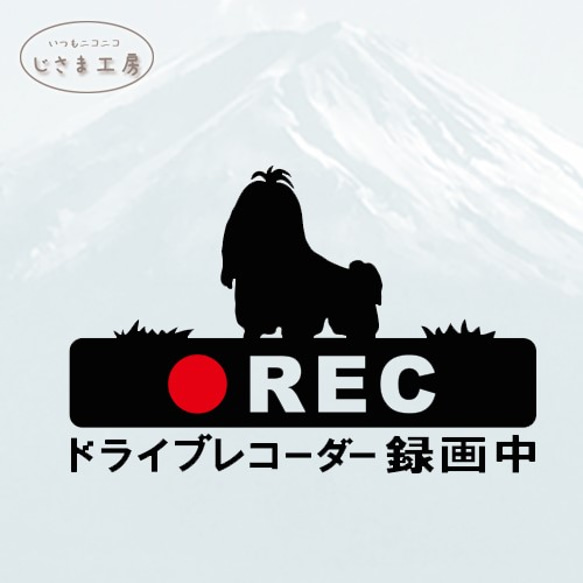 ちょんまげシーズーの黒色シルエットステッカー煽り運転防止!!ドライブレコーダー録画中