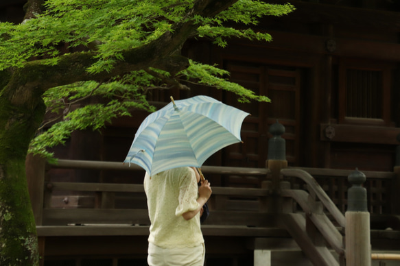 手描き晴雨兼用日傘『蒼い竹林』（着物にも洋服にも）