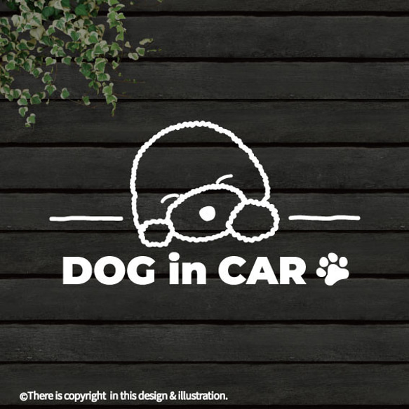 DOG IN CAR/ビションフリーゼ【カッティングステッカー】手書きわんこ