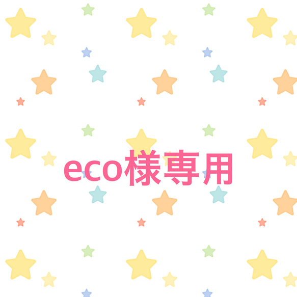 eco様専用