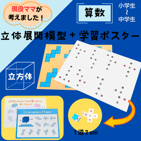 立方体１１種 立体展開図模型 中学受験 知育玩具 小学生 中学生 算数セット 算数教材 数学 勉強 モンテッソーリ教育