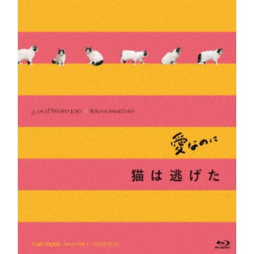 【BLU-R】「愛なのに」「猫は逃げた」L／R15コンプリートBlu-ray