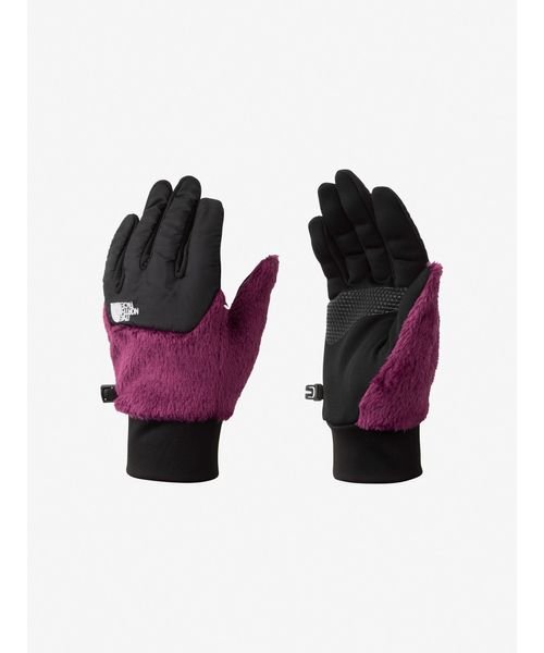 Denali Etip Glove (デナリイーチップグローブ)