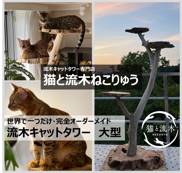 【猫と流木ねこりゅう】完全オーダーメイド　流木キャットタワー大型タイプ