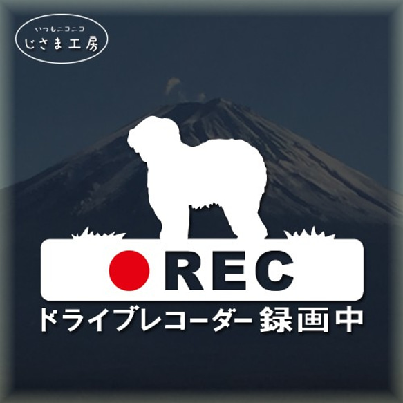 オールドイングリッシュシープドッグの白色シルエットステッカー危険運転防止!!ドライブレコーダー録画中