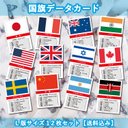 ご希望の国で作成する国旗データカードＬ版サイズ12枚セット【送料込み】