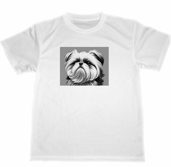 シーズー　ドライ　Tシャツ　犬　イラスト　ペット　アート　グッズ　Shih Tzu　DOG