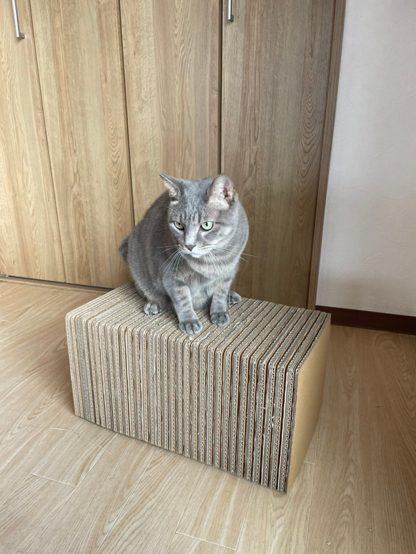 猫爪とぎ　 四角型