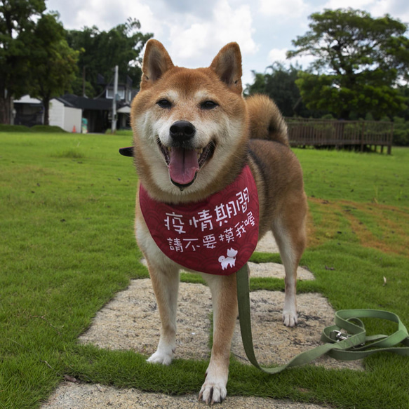 親密な警告涼しげな感じのスカーフの流行防止必須の両面デザインの赤ちゃんが使用できます