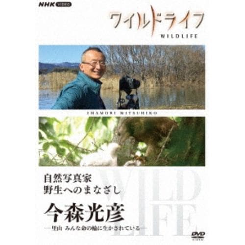 【DVD】ワイルドライフ 自然写真家 野生へのまなざし 今森光彦 DVD