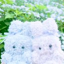 6月のふぉ〜ちゅんむにちゃん(紫陽花のいろ)