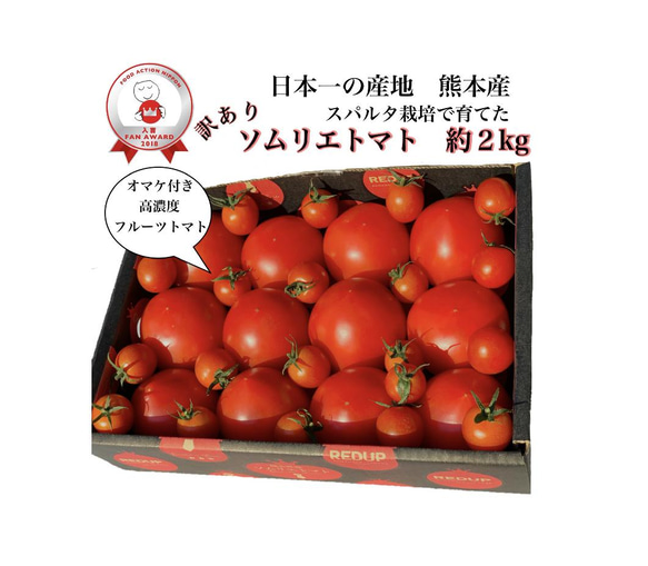 【予約】【受賞歴３回！】訳ありソムリエトマト2kg〜3kg（８玉～18玉) ②のオマケ