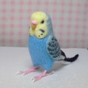 リアルサイズ♪ セキセイインコ レインボ－オパ－リンスカイブルー  羊毛フィギュア 羊毛フェルト 鳥のオブジェ リアルバード 受注制作 うちのこ オーダー お気軽にお問い合わせください