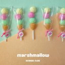 ♛︎【marshmallow】《アイスクリーム》