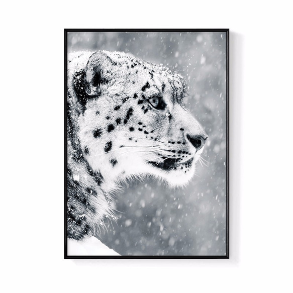 パイナップル絵画セレクション – Persistence-Snow Leopard 42x60cm (A2) 北欧/イラスト/写