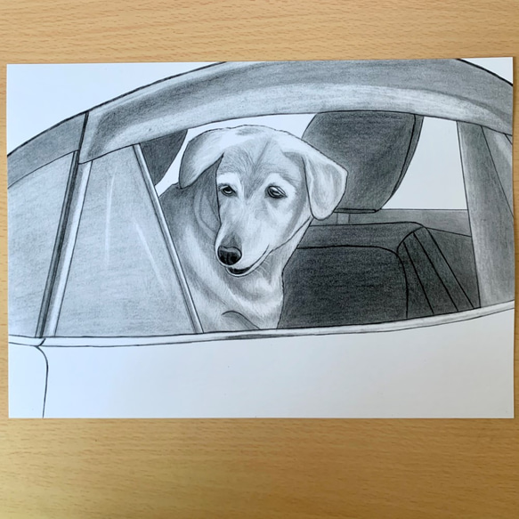 車の窓から覗く犬の鉛筆画（ラブラドールレトリーバー×柴犬）