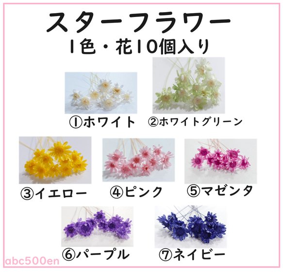 【スターフラワー 1色・花10個入り】　ドライフラワー/プリザーブドフラワー/花/スターフラワー/封入/レジン