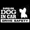 『犬種名・DOG IN CAR・DRIVE SAFETY・パピヨン（正面姿）』ステッカー　9cm×17cm