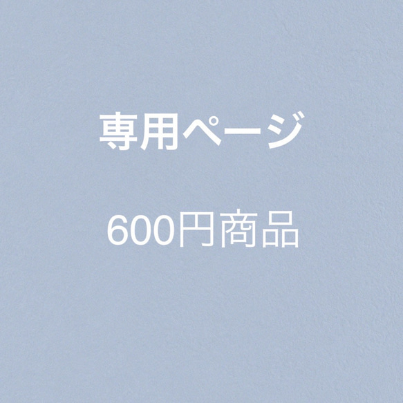 専用ページ　600円商品