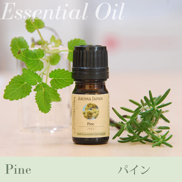 パイン精油3ml~　アロマオイル/エッセンシャルオイル/ケモタイプ精油/Pine/Essential Oil