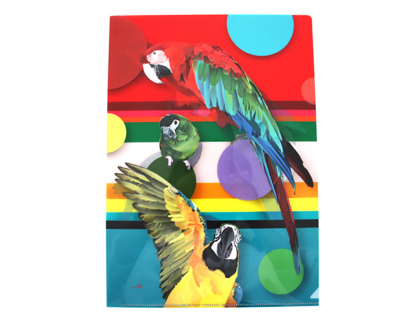 A4クリアファイル「Macaw Color」