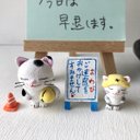 ご迷惑をおかけしてすみません猫さんコンビ（白黒）