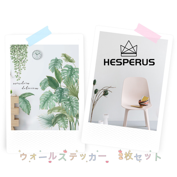 ウォールステッカー　ウォールデコ　2枚セット　HESPERUS+AD001 モノトーン　植物　癒す　DIY壁紙壁シール