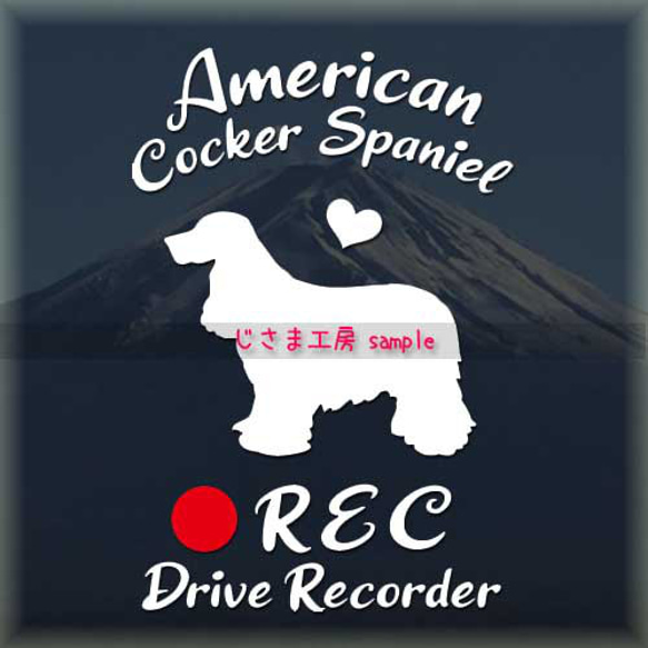 わんちゃんの可愛いドラレコステッカー!!『DRIVE　RECORDER』