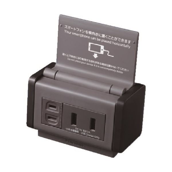 パナソニック Panasonic カバー付露出コンセント(スタンド機能付) WK1621H 1個 157-5293（直送品）