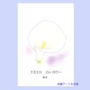 7月02日誕生花カード（花言葉つき）点描画