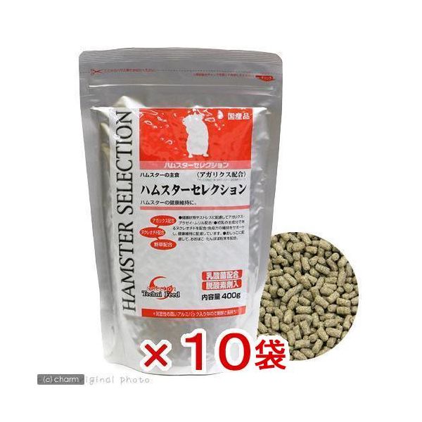 イースター ハムスターセレクション　４００ｇ　ハムスターフード 2250000294413 1セット（直送品）