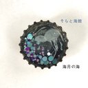 王冠の宇宙マグネット/海月の海