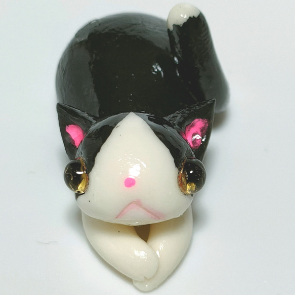 白黒はちわれにゃんこ①