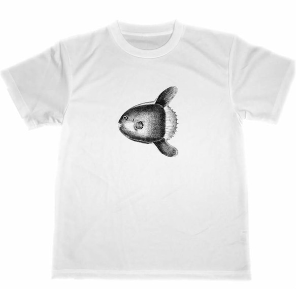 マンボウ　ドライ　Tシャツ　海水魚　水族館　グッズ