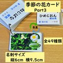 季節の花カード　Part３　野の花　　四季の学習に　小学校受験に