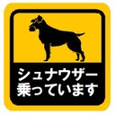 シュナウザー乗ってます カー マグネットステッカー