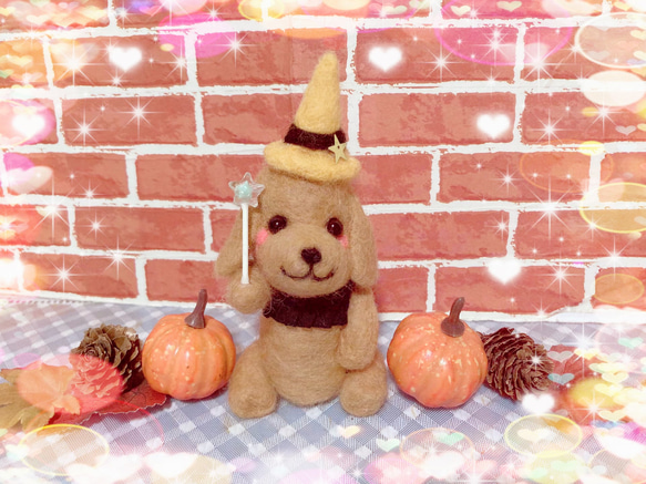 ✨わくわくハロウィンダックスちゃん✨