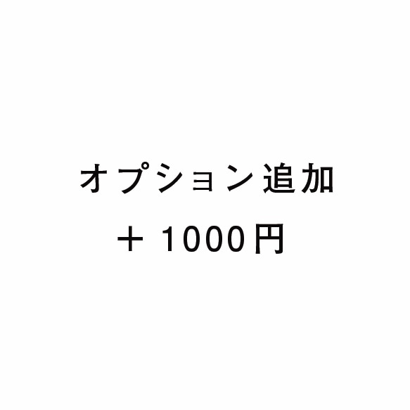 オプション追加　＋1000円