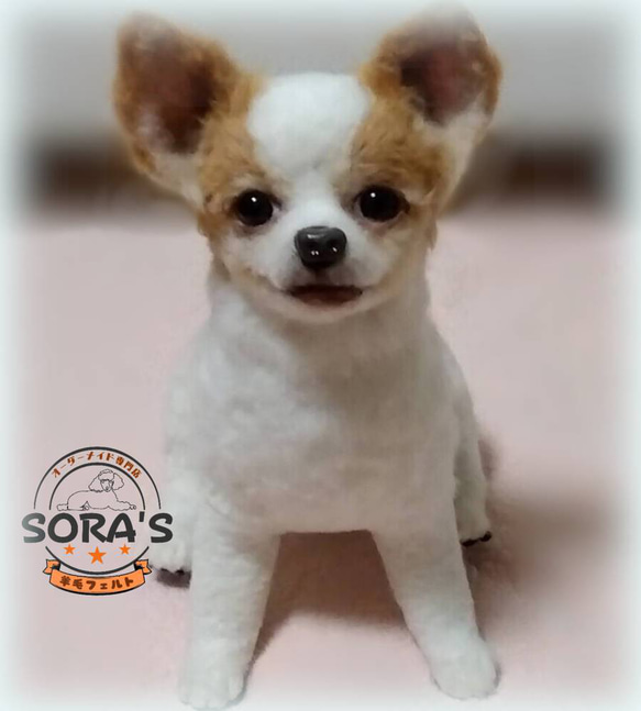 羊毛フェルト　犬　リアルで可愛い　愛犬さん　オーダーメイド・わんちゃん　ロングコートチワワ