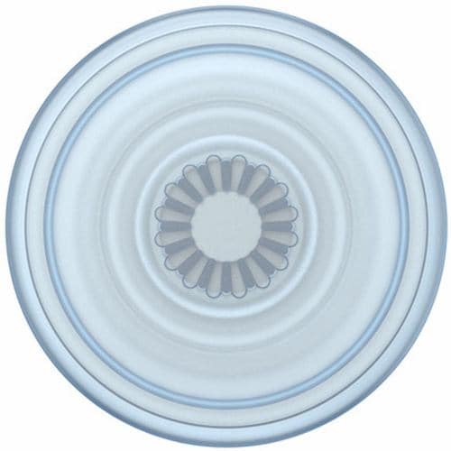 ＰＯＰＳＯＣＫＥＴＳ ＪＡＰＡＮ PopGrip Plant Ice Blue 805477