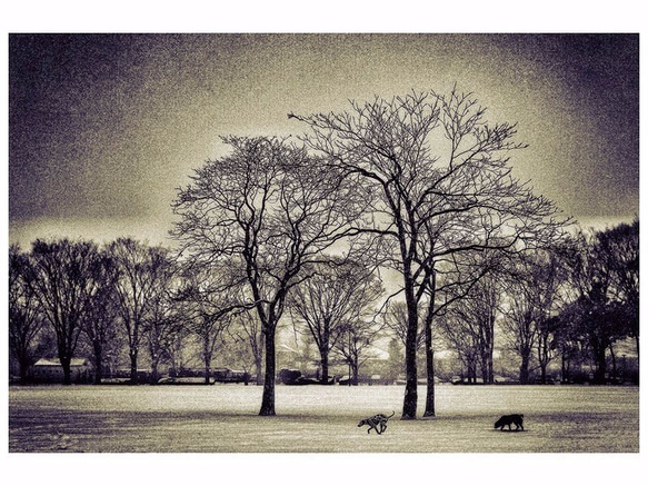 Winter scenery.【冬景色】紙 A3サイズ(297×420mm)